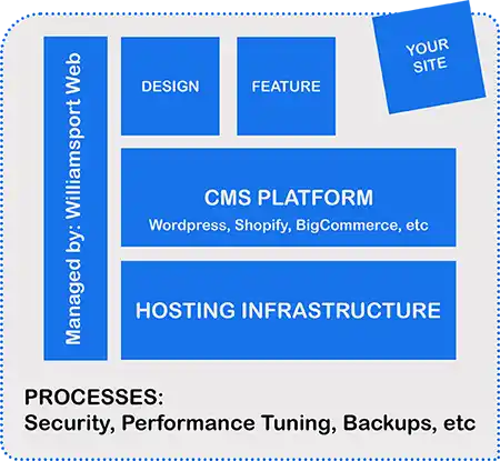 Website Hosting